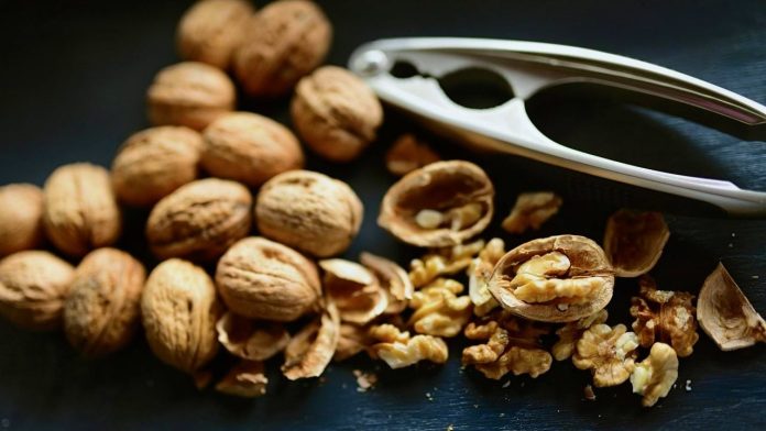 portada-editorial China prorroga pesquisa contra nueces pecanas de México y EU