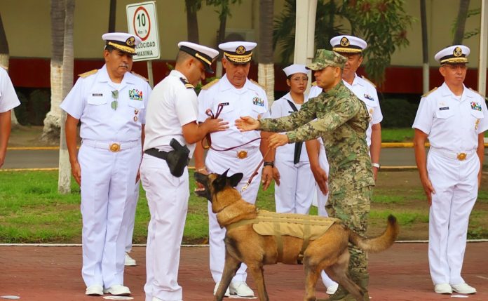 portada-editorial Marina reconoce trayectoria del canino Hermes en Manzanillo