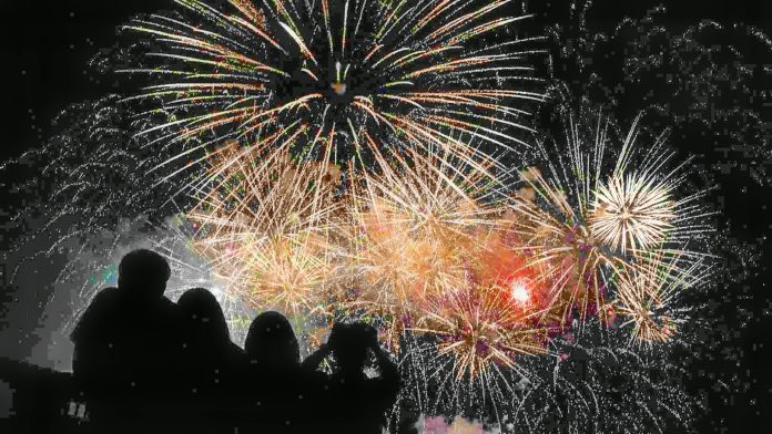 portada-editorial Pirotecnia en fiestas patrias: riesgos para mascotas